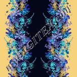 Colour:F