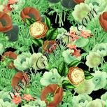 Colour:K
