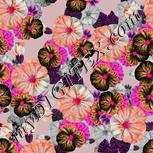 Colour:B