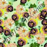 Colour:K