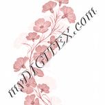 Colour:J