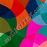 Colour:B