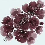Colour:C