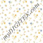 Colour:A