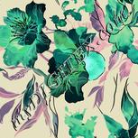 Colour:F