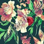 Colour:K