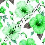 Colour:C