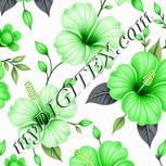 Colour:D