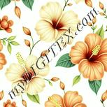 Colour:K