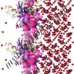 Colour:B
