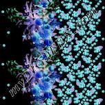 Colour:F