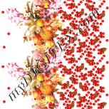 Colour:J
