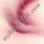 Colour:F