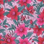 Colour:B
