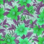 Colour:C