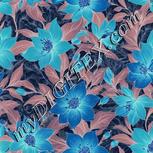 Colour:F