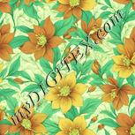 Colour:K