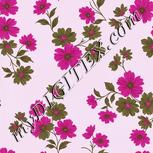 Colour:B
