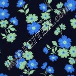 Colour:F