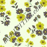 Colour:K