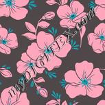 Colour:F