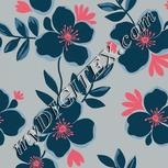 Colour:B