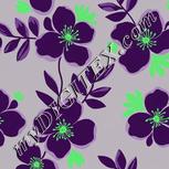 Colour:C