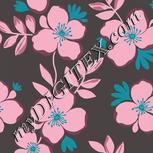 Colour:F