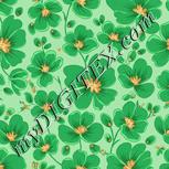 Colour:K