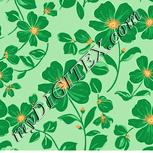 Colour:K
