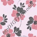 Colour:B