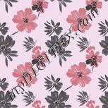Colour:B