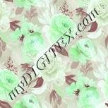 Colour:C