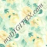 Colour:K