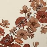 Colour:A