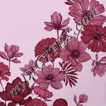 Colour:B