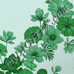 Colour:C