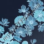Colour:F