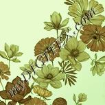 Colour:K