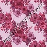 Colour:B