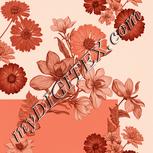 Colour:J