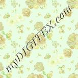 Colour:K