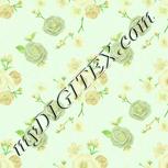 Colour:K