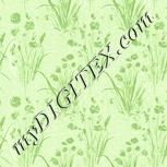 Colour:K