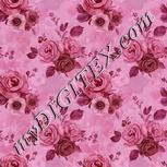 Colour:B
