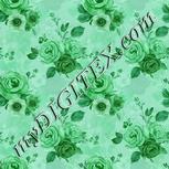 Colour:C