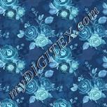 Colour:F
