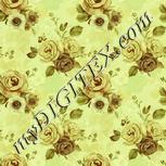Colour:K