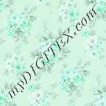 Colour:C