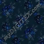 Colour:F